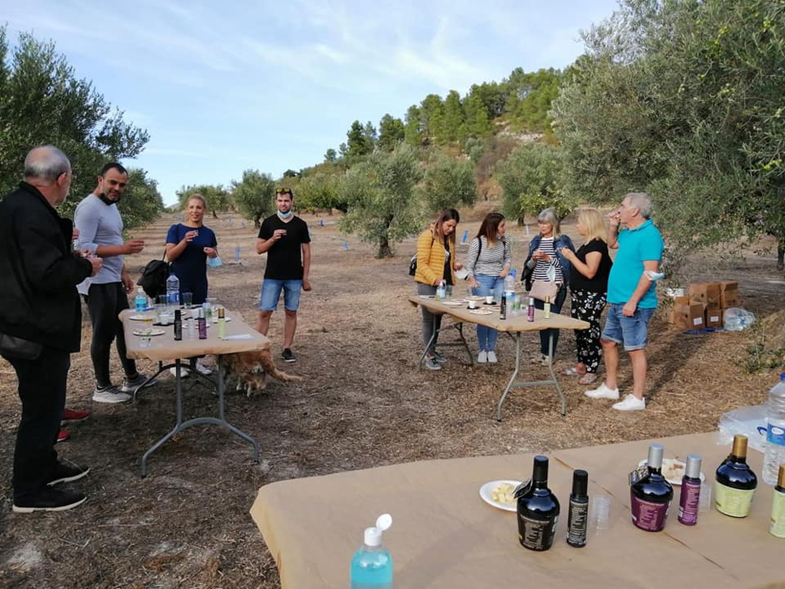 Tast d'oli oferit per Rontonar Aceites
