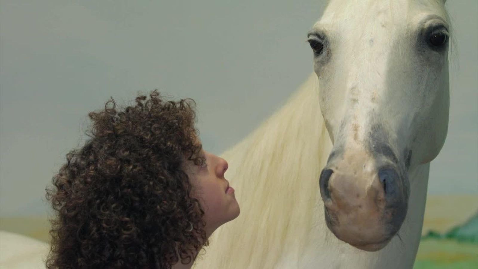 06.10.2019 | Llibre de les bèsties