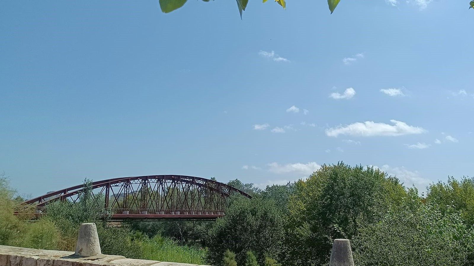 ALZIRA, RIBERA ALTA