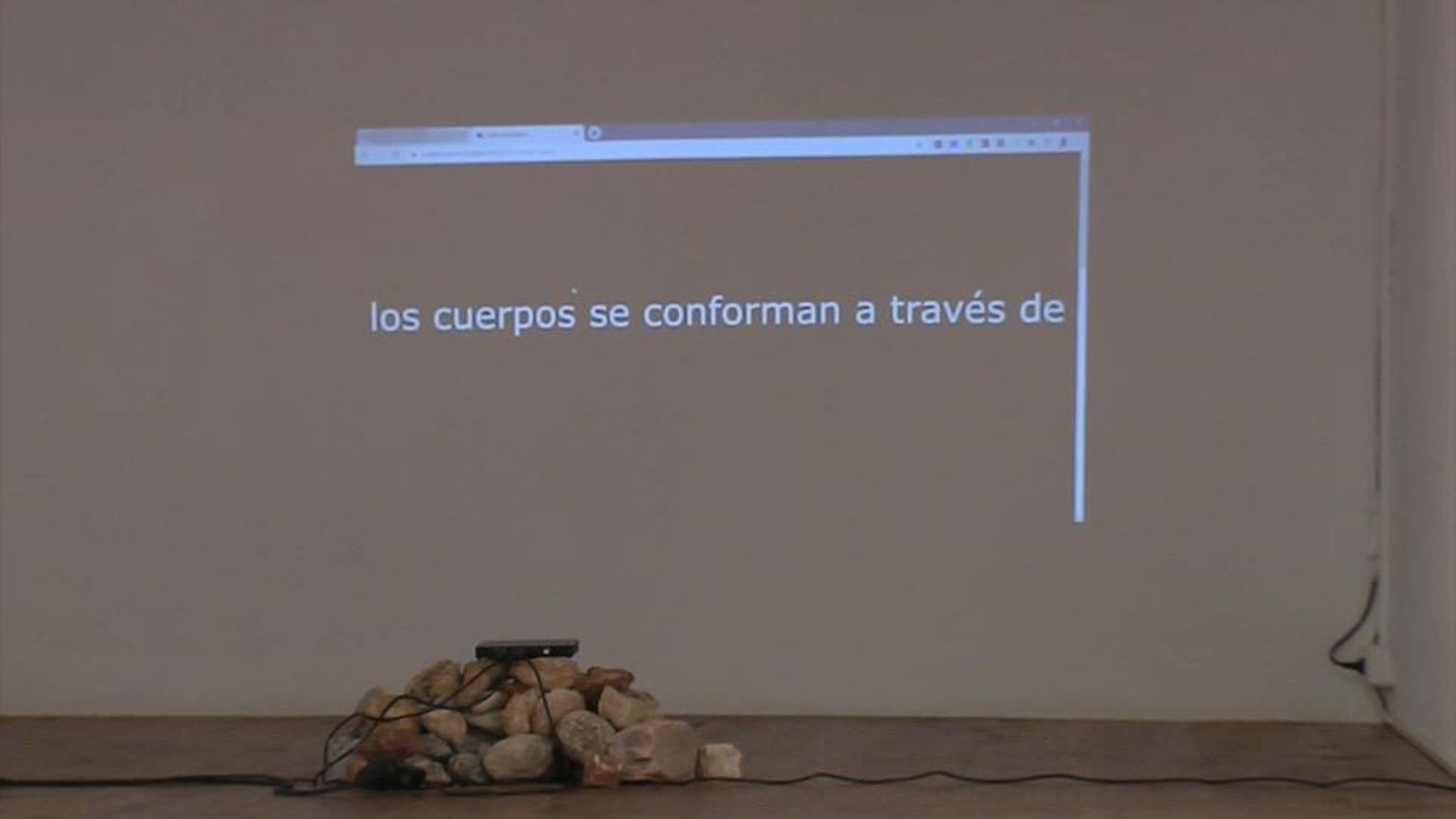 Obra de Paula Lorenzo