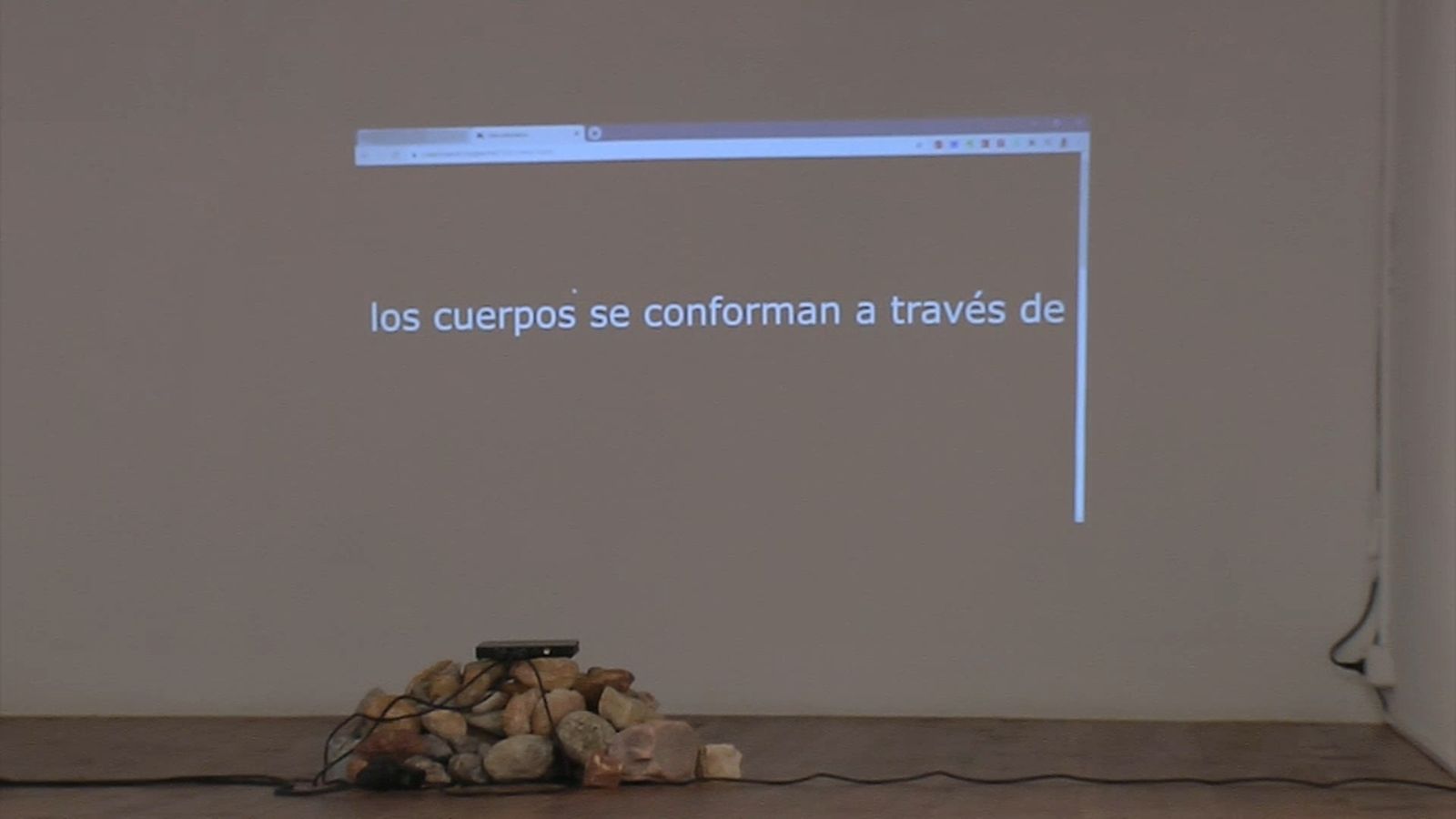 Obra de Paula Lorenzo