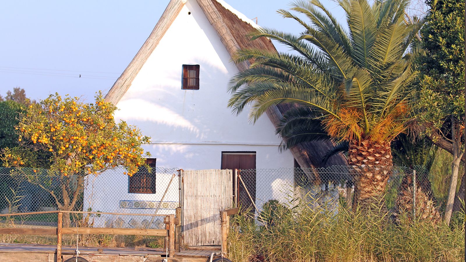 Una barraca al Palmar, pedania de València
