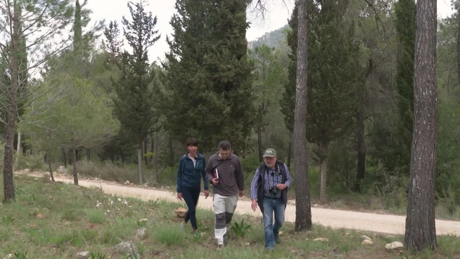 23.08.2018 | Serra d’Escalona i la Devesa de Campoamor, l’eterna candidata