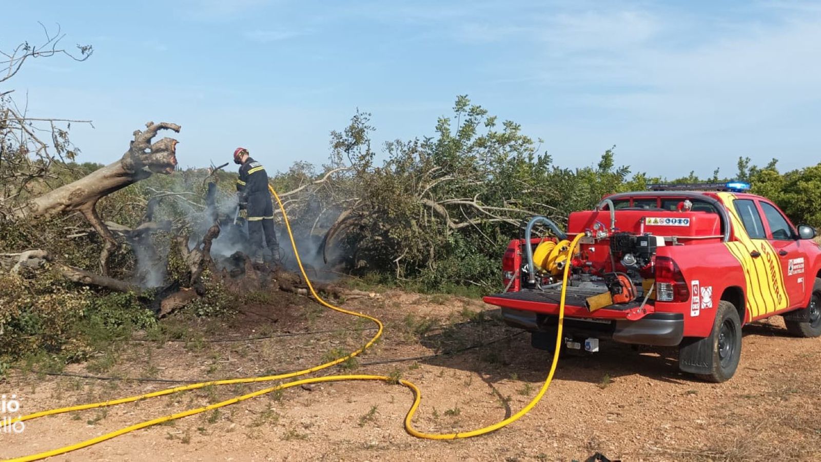 Efectius del Consorci Provincial de Bombers de Castelló intervenen en l'incendi de l'arbre monumental a Càlig