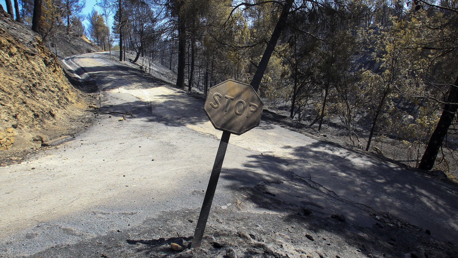 Un senyal de trànsit, totalment cremat prop de la zona de l'incendi