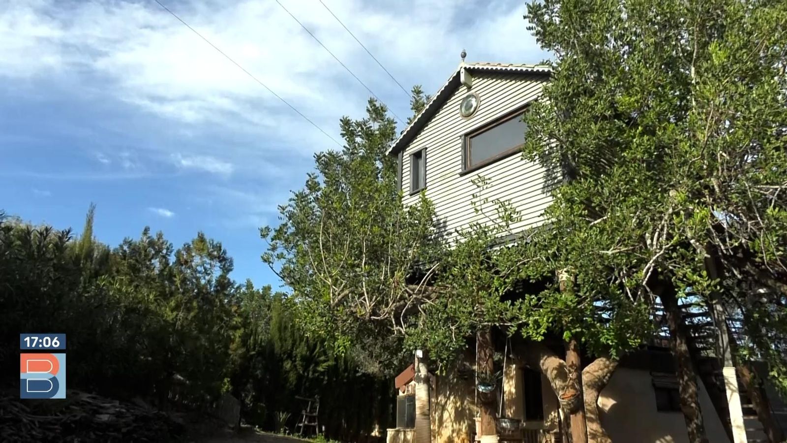 02.02.2023 | Com és viure en un arbre?