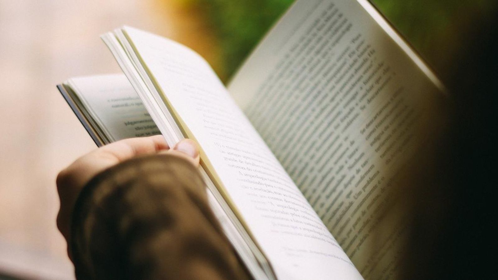 Llengües maternes com el valencià, elements transmissors del patrimoni