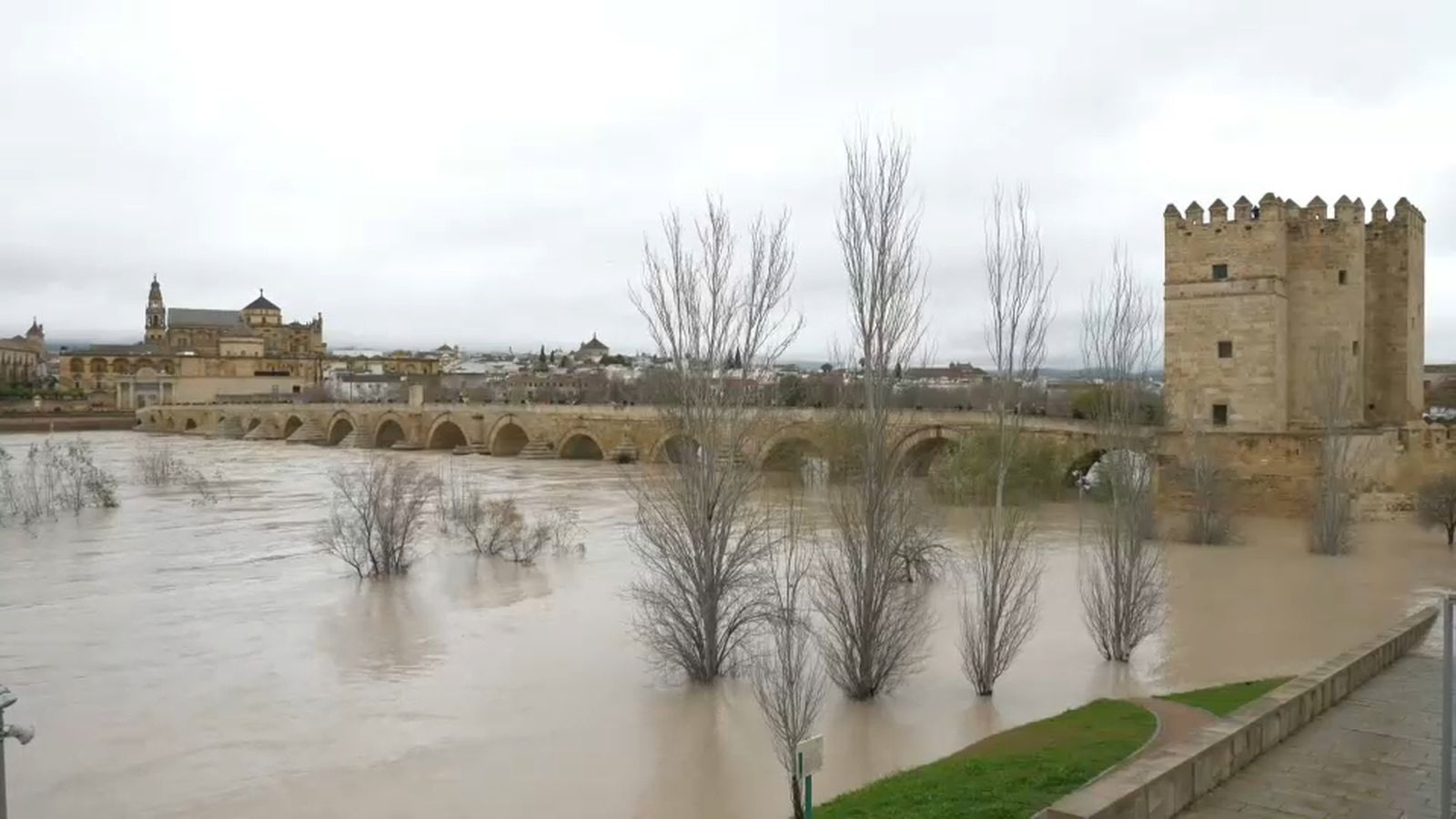 Els efectes de Leonardo a Andalusia