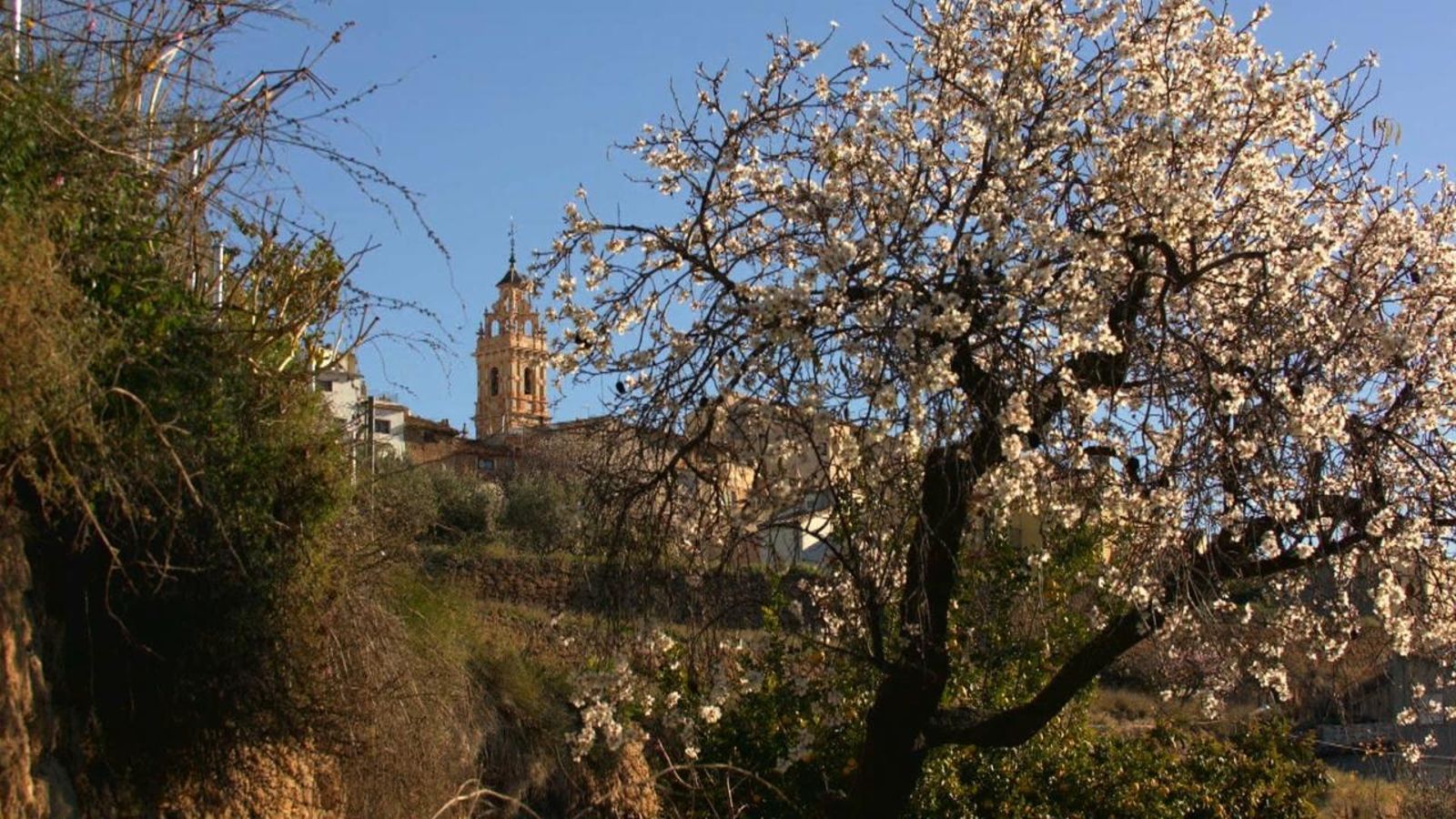 Mónica García i la preposició 'vora'