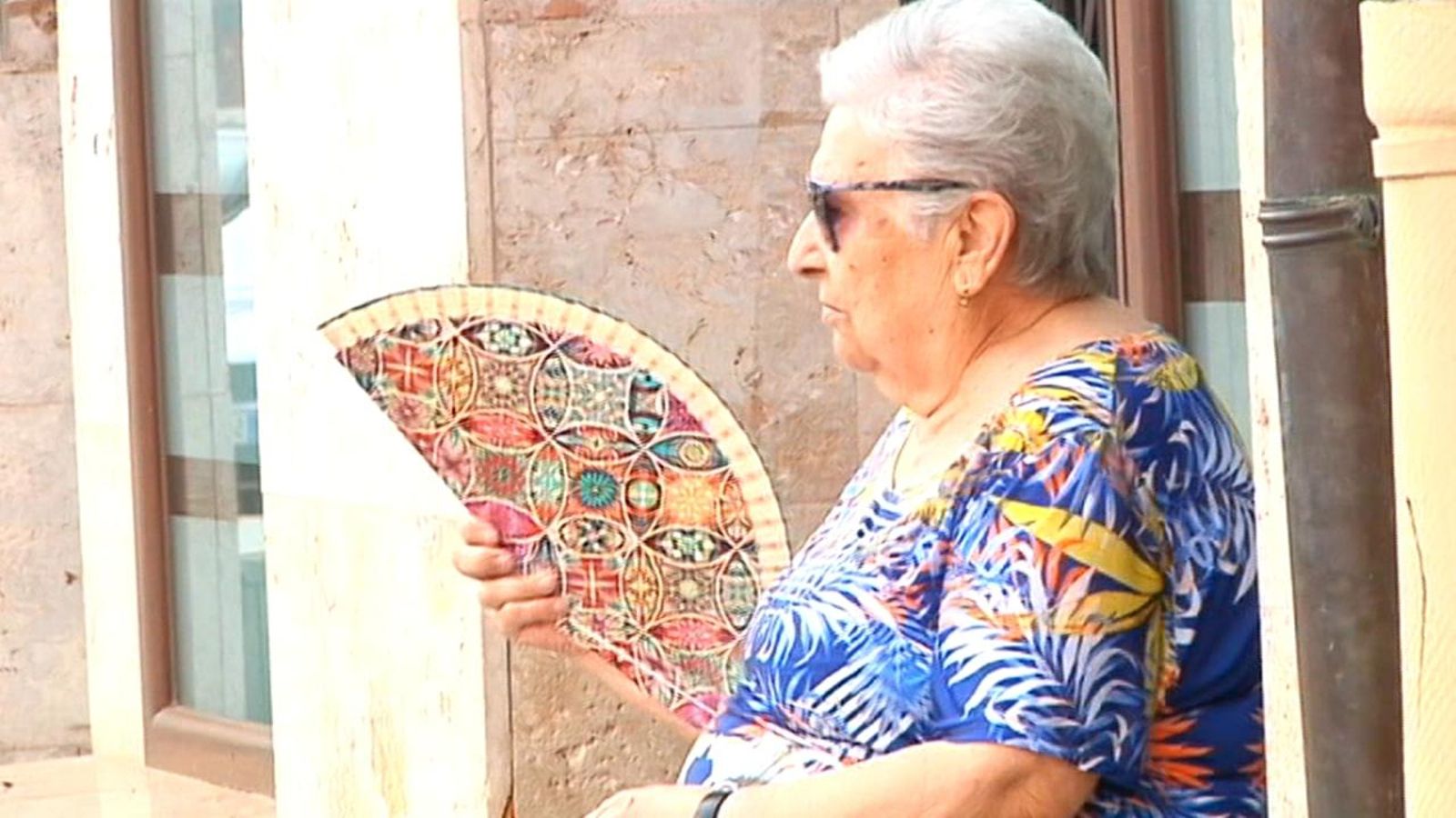 Una dona s'aventa amb un palmito Calor