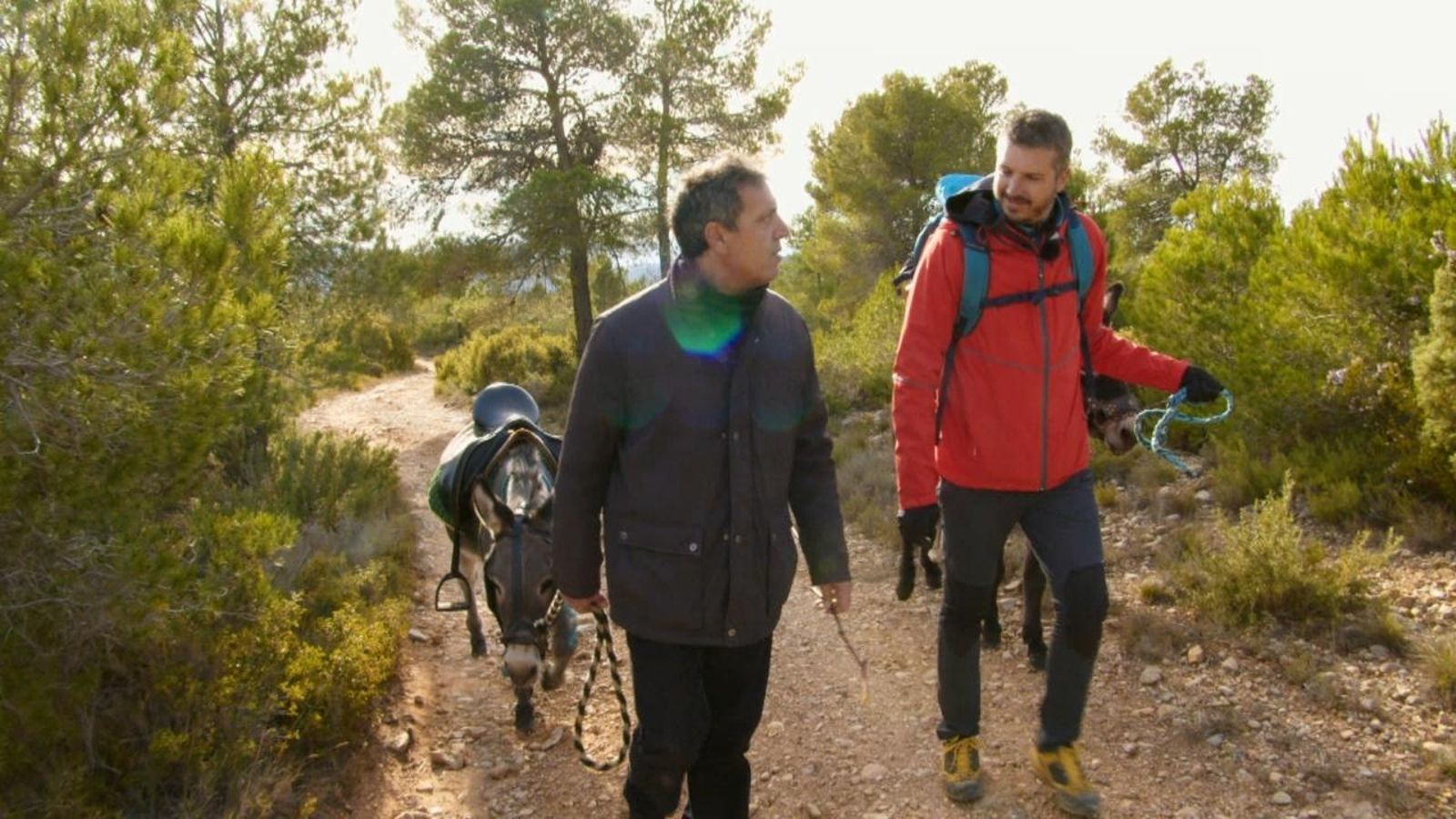 Endevina endevineta...dites i romanços.