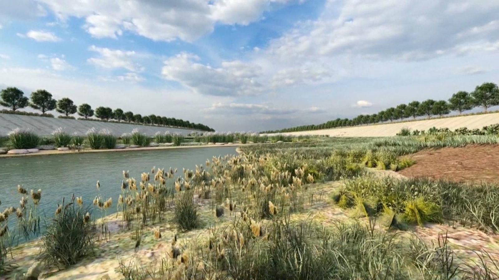 El llit del riu Túria podria transformar-se d'ací a un any