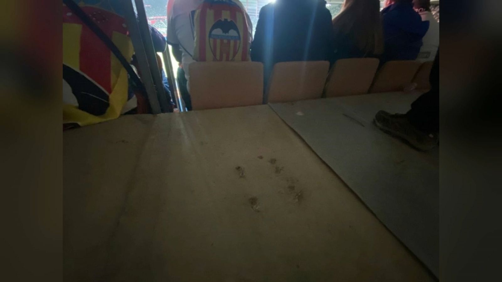 Així han sigut les entrades fantasma de la Cartuja