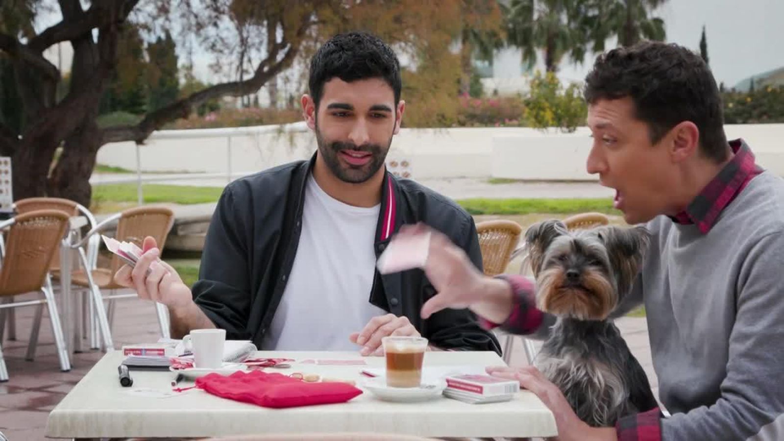 08.09.2018 | Animals