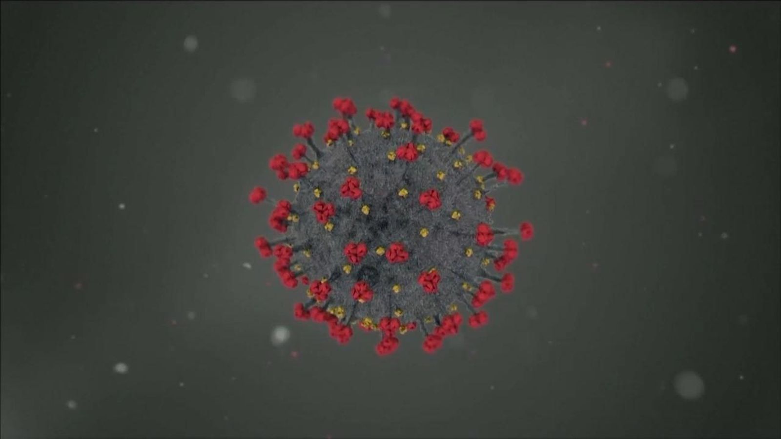 26.04.2020 | La pandèmia que està canviant el món