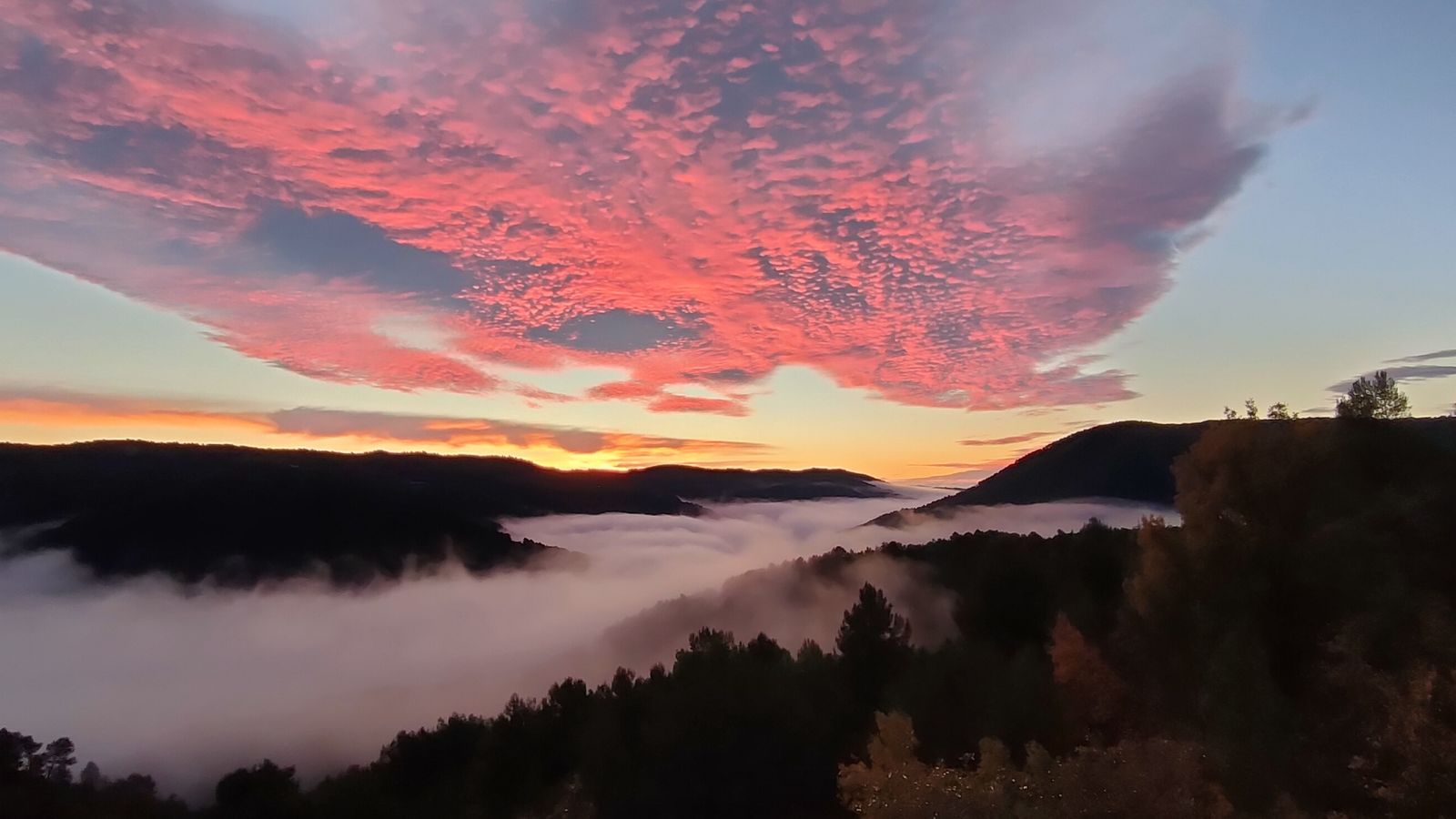 ZUCAINA, L'ALT MILLARS