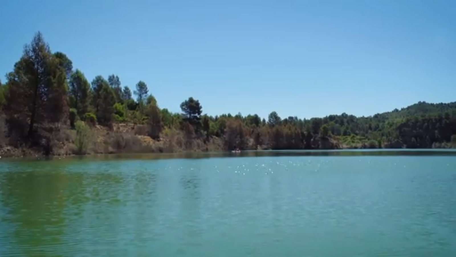 09.08.2023 | Terra Viva