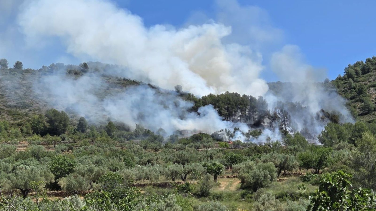 Incendi forestal a Gaibiel