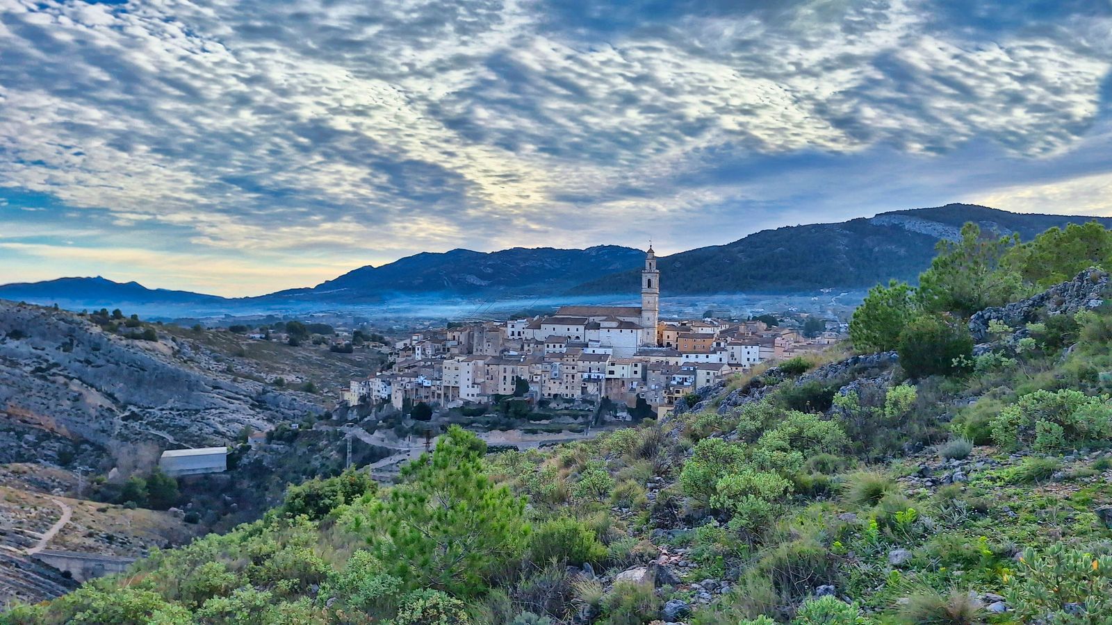 2.BOCAIRENT, VALL D'ALBAIDA, BLAI VANYÓ