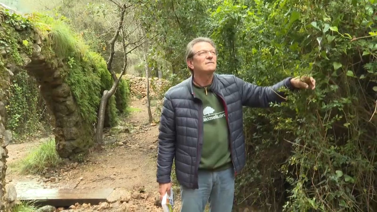 La murta, la planta emblemàtica que dona nom a la Vall