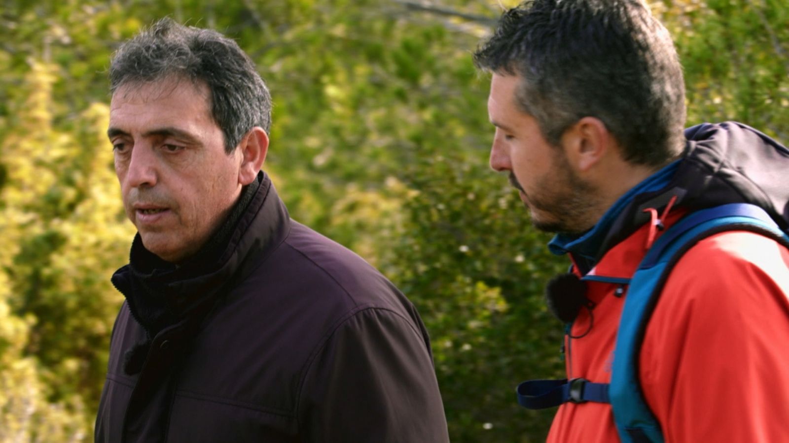 Repassem el verb 'batre' a través del cant de batre