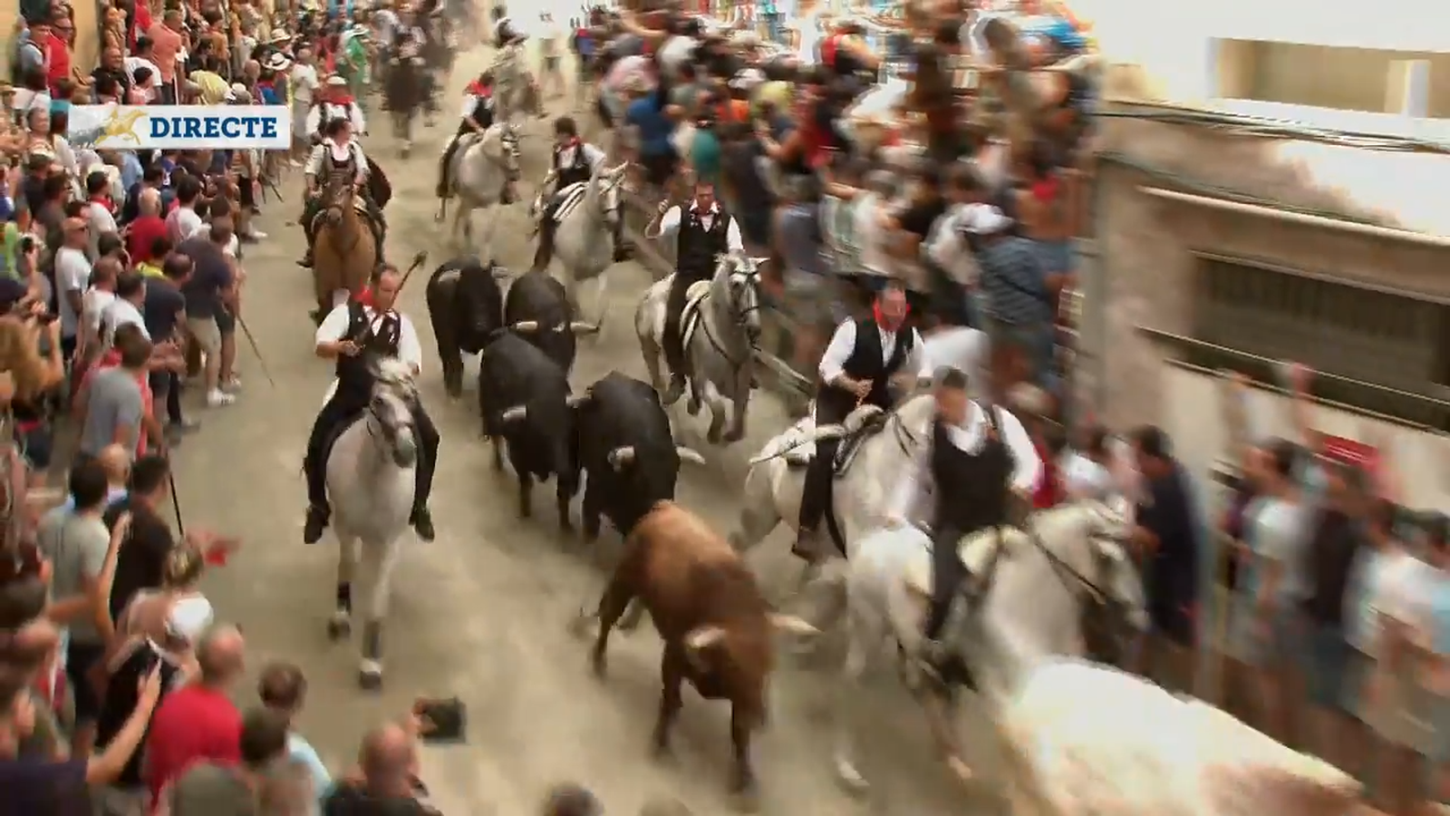 9.9.2022 | ENTRADA DE BOUS I CAVALLS DE SOGORB