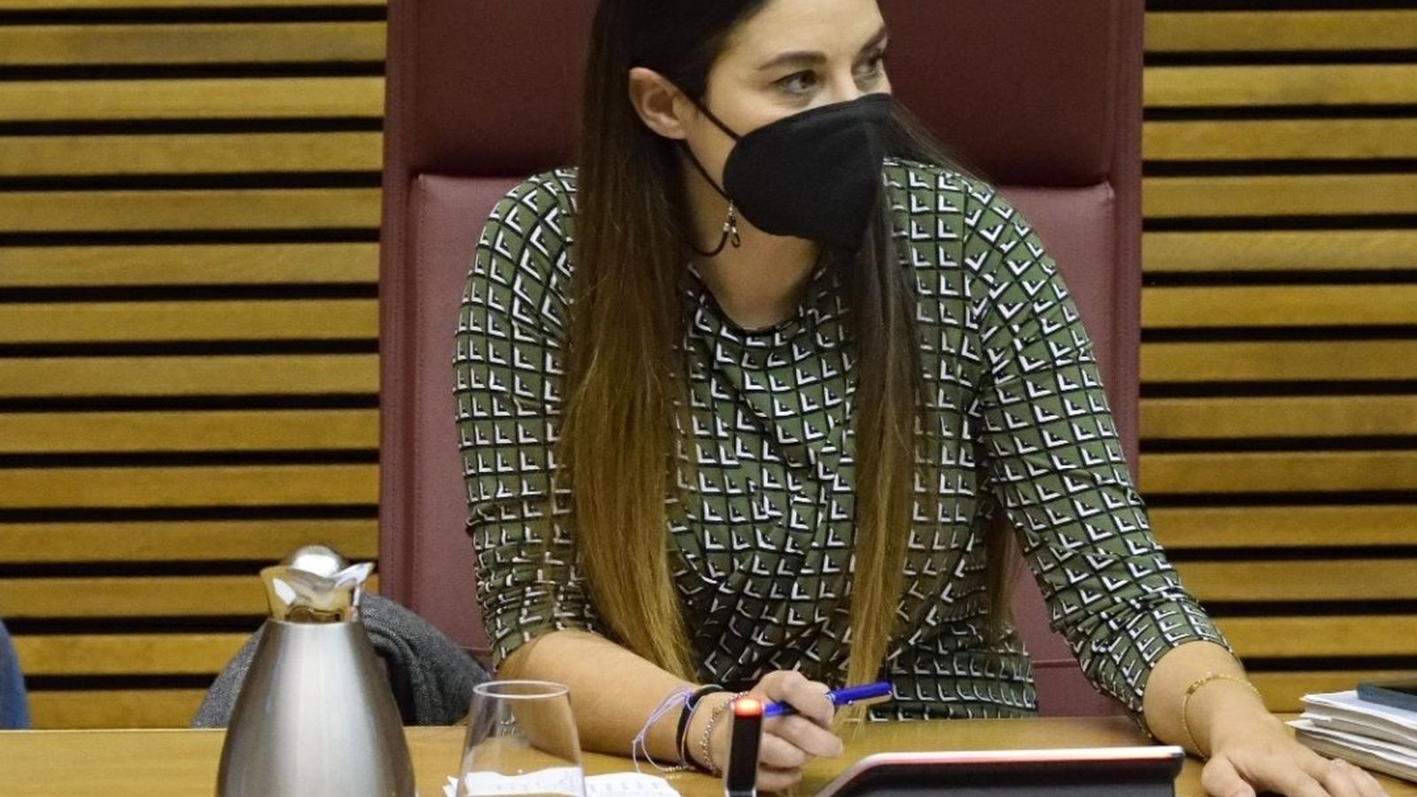 La consellera d'Agricultura i Transició Ecològica, Mireia Mollà, durant la seua presentació dels pressupostos a Les Corts