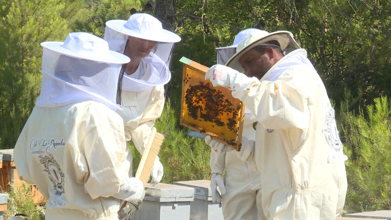 Apicultors de l'associació Racó de l'Abella