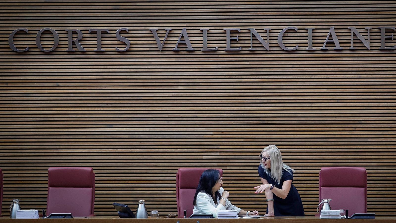 La presidenta de les Corts conversa amb una diputada en un recés del ple celebrat este dimecres