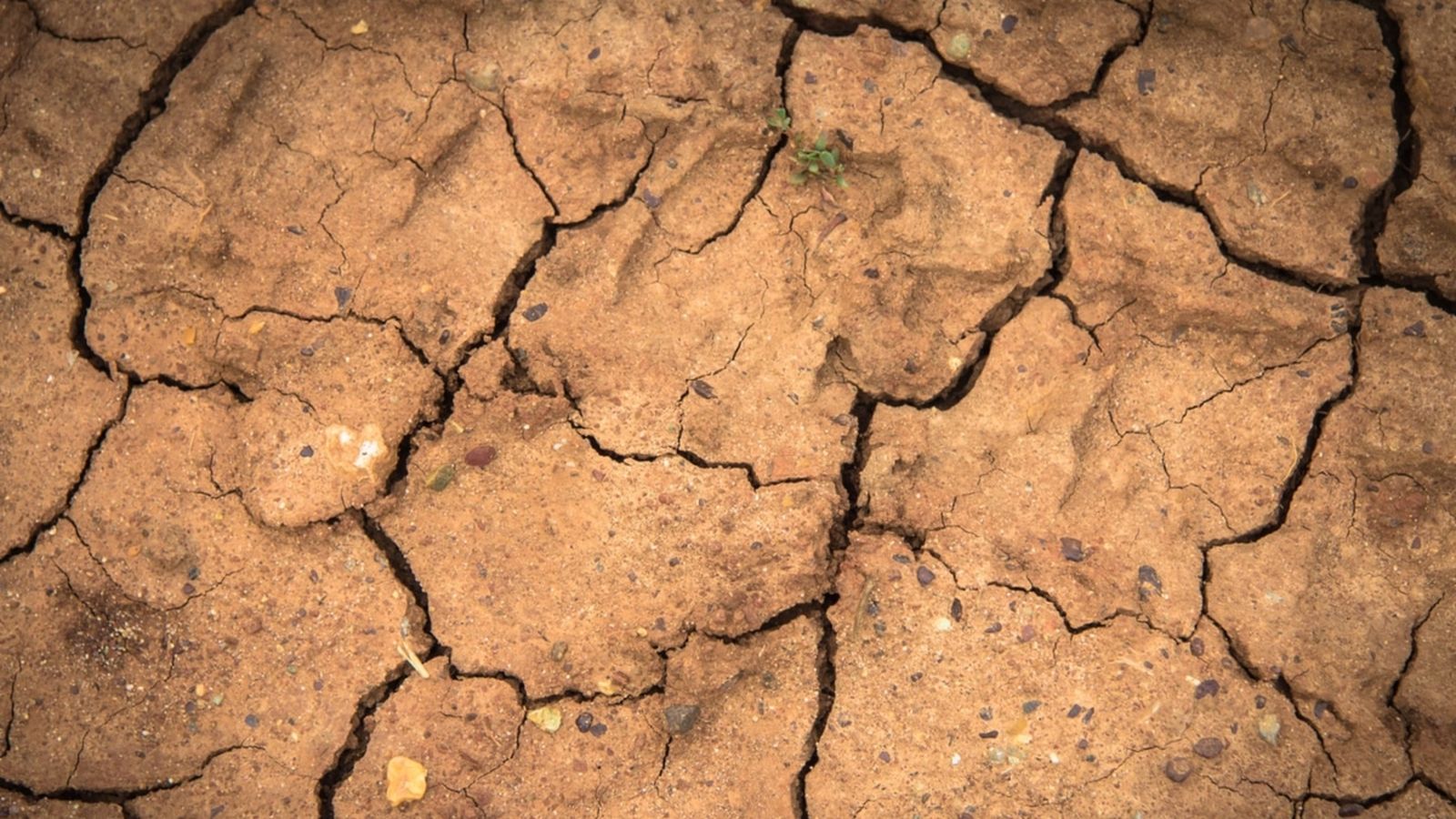 La Unió per al Mediterrani alerta que 250 milions de persones patiran mancança d’aigua en 20 anys