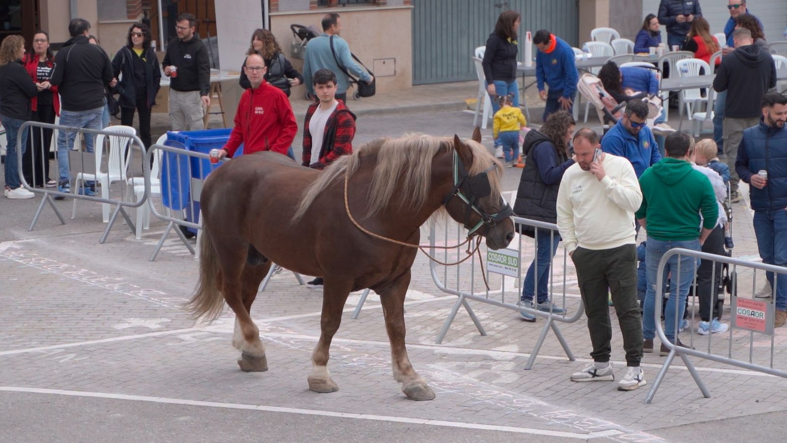 L'haca portagonista de les festes d'Alfondeguilla