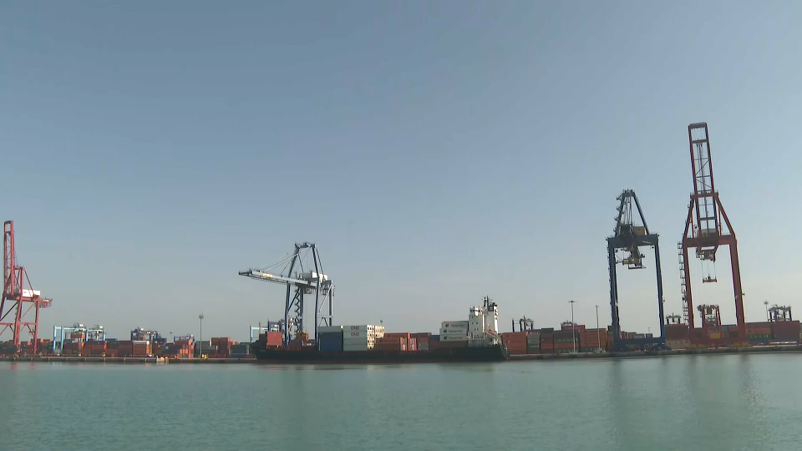 Les grues del port de València