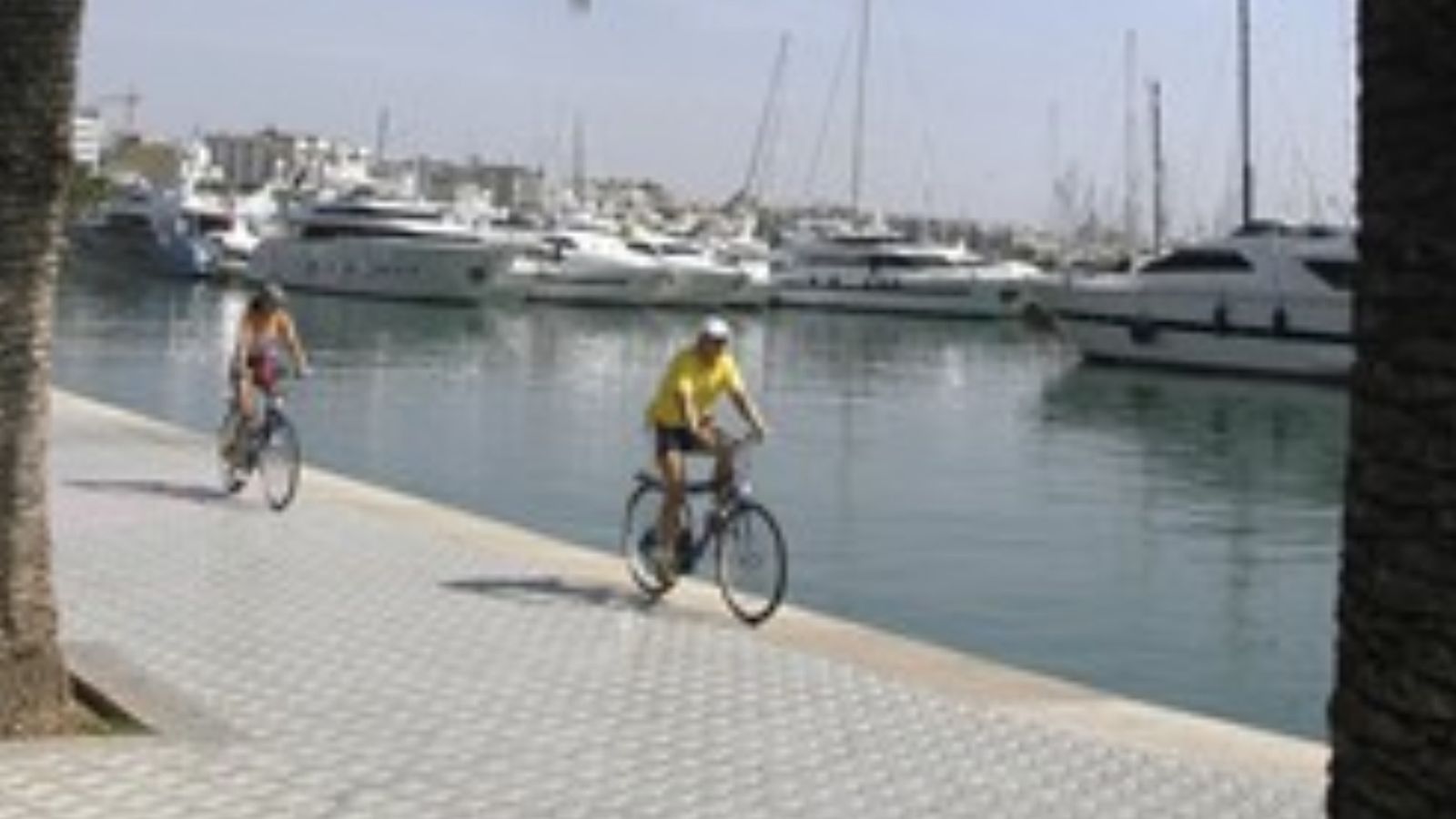 Passeig marítim de Palma de Mallorca