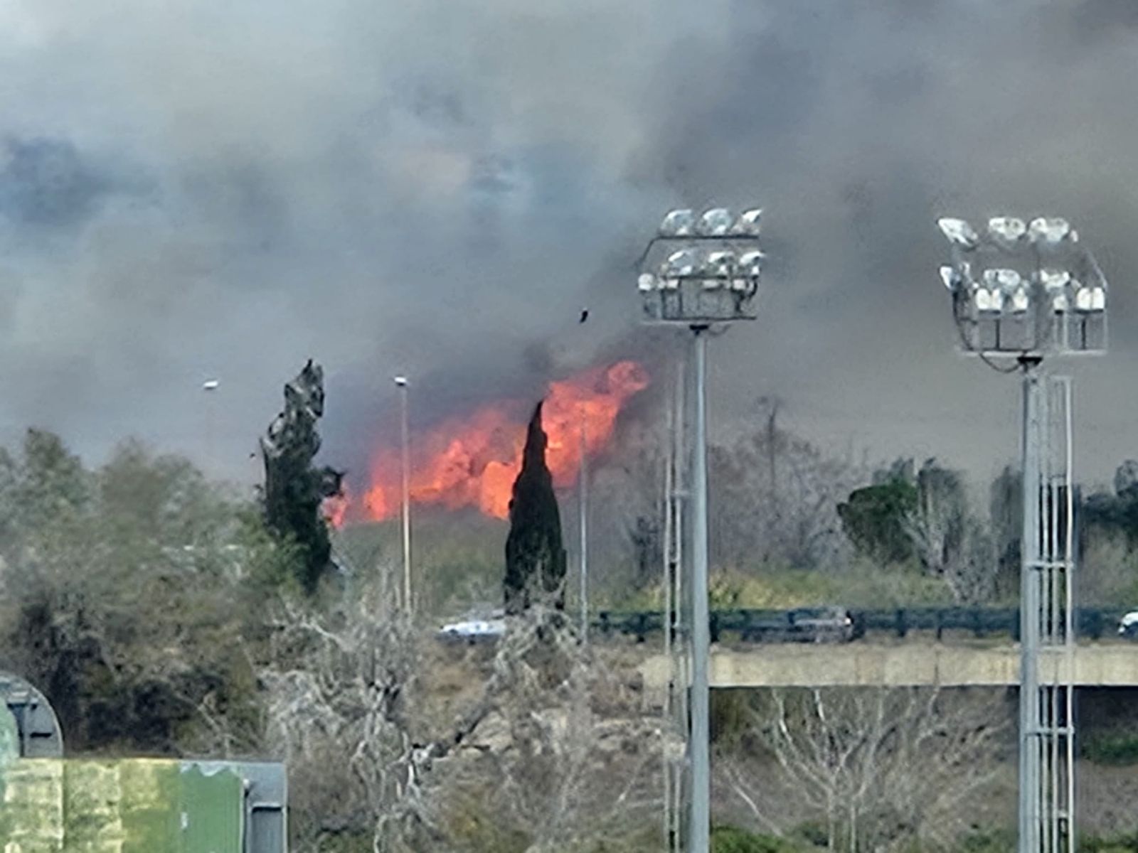Imatges de l'incendi registrat al riu d'Alzira