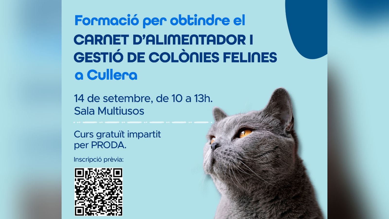Carnet d'alimentadors de colònies felines de Cullera