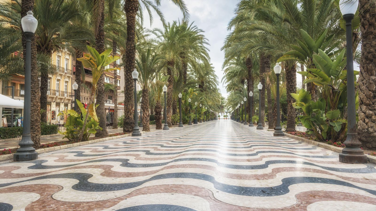 Un dels arrestats va ser detingut a Alacant, pràcticament al mateix temps que els altres tres dels Països Baixos