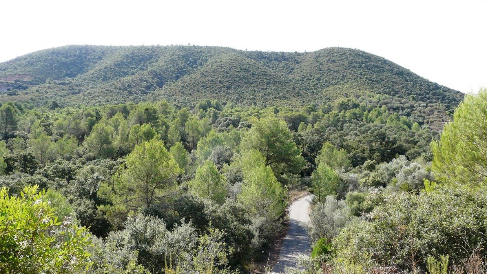 Huit noves microreserves de flora a les comarques del nord