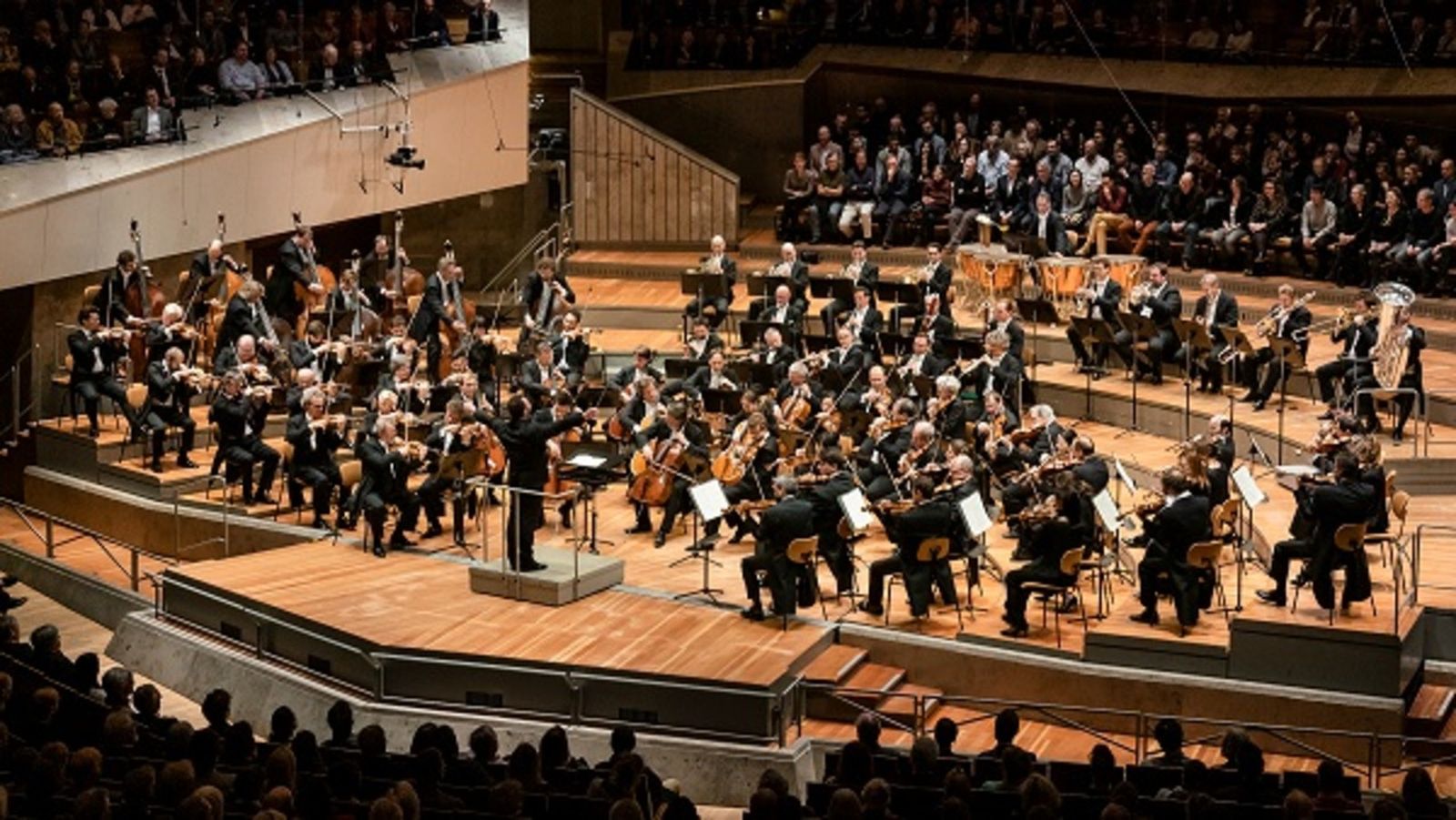 28.05.2023 | El musiquer