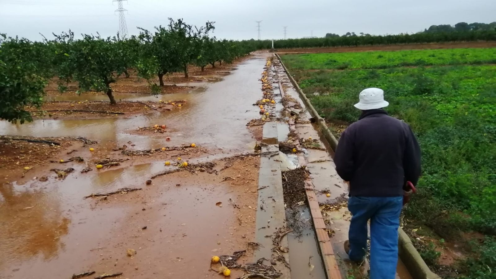 Camp negat a la Ribera