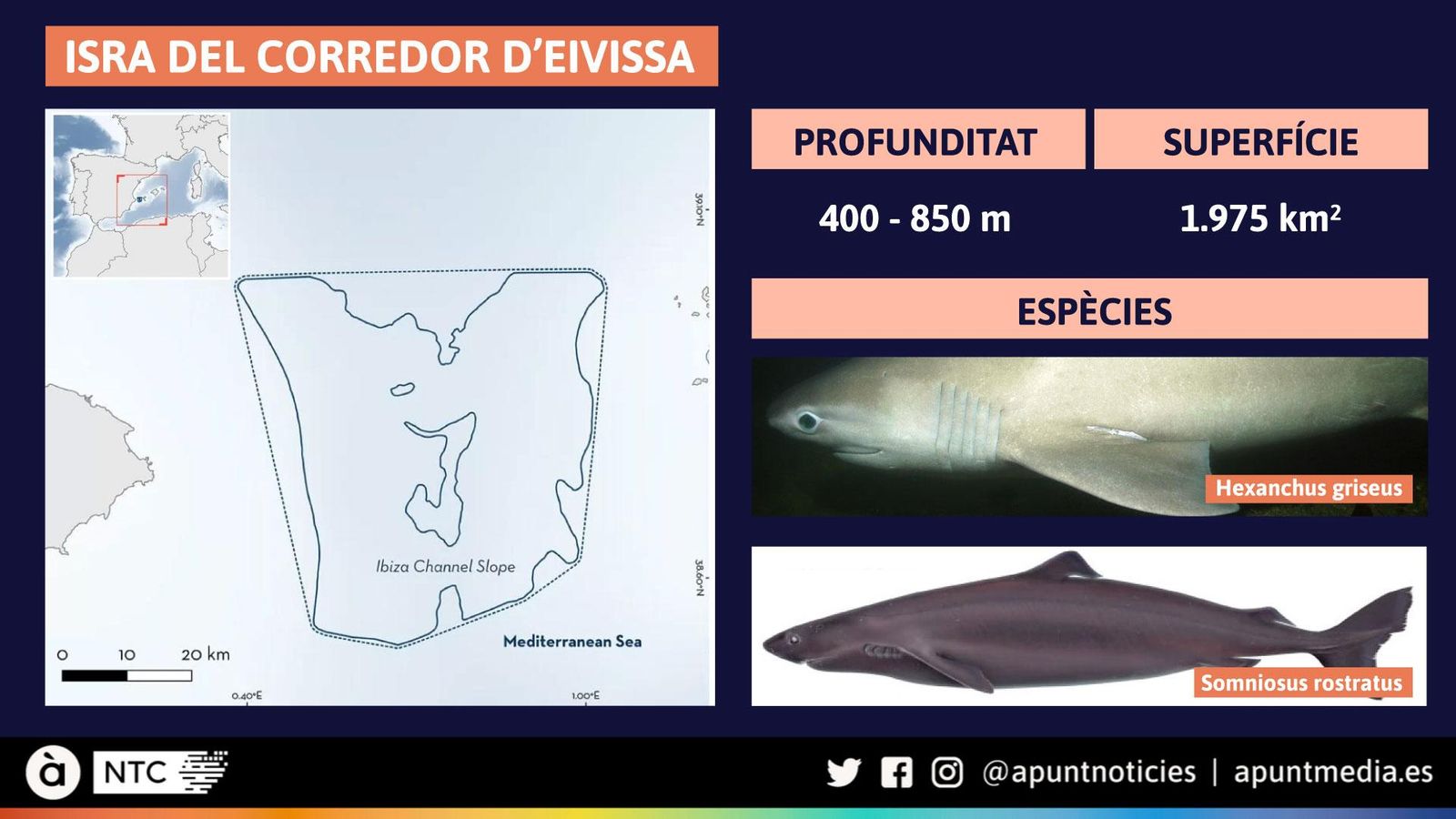 Informació sobre l'ISRA Corredor d'Eivissa