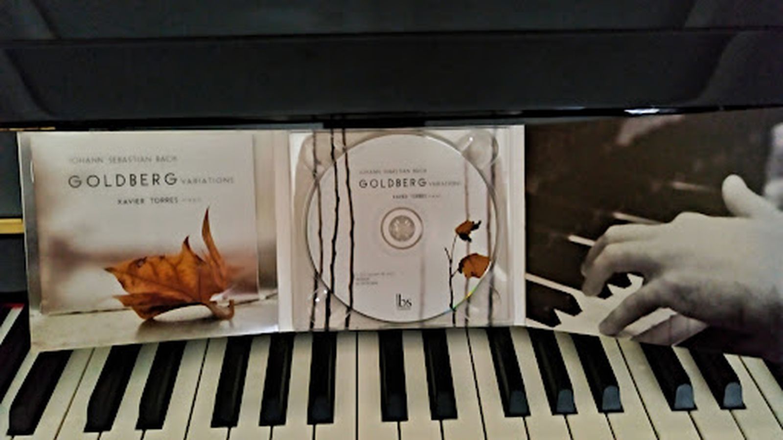 01.06.2024 | El Musiquer T9