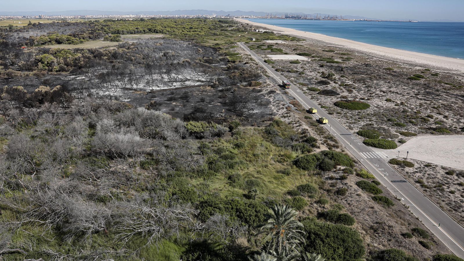 Així ha quedat la zona de la Devesa afectada per l'incendi