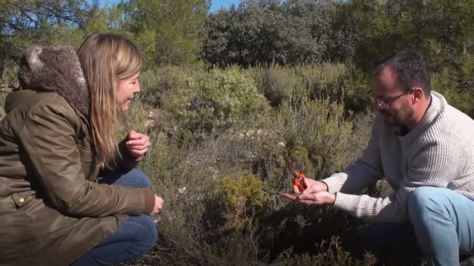 La terra com a rebost: L'argilaga