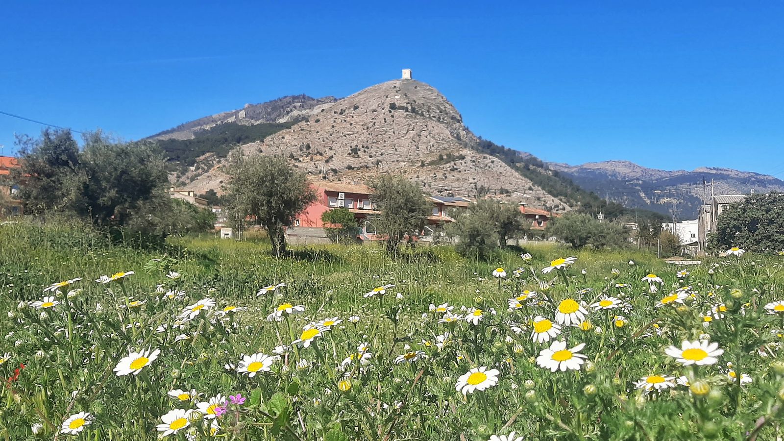 xavier anduix conentaina el comtat