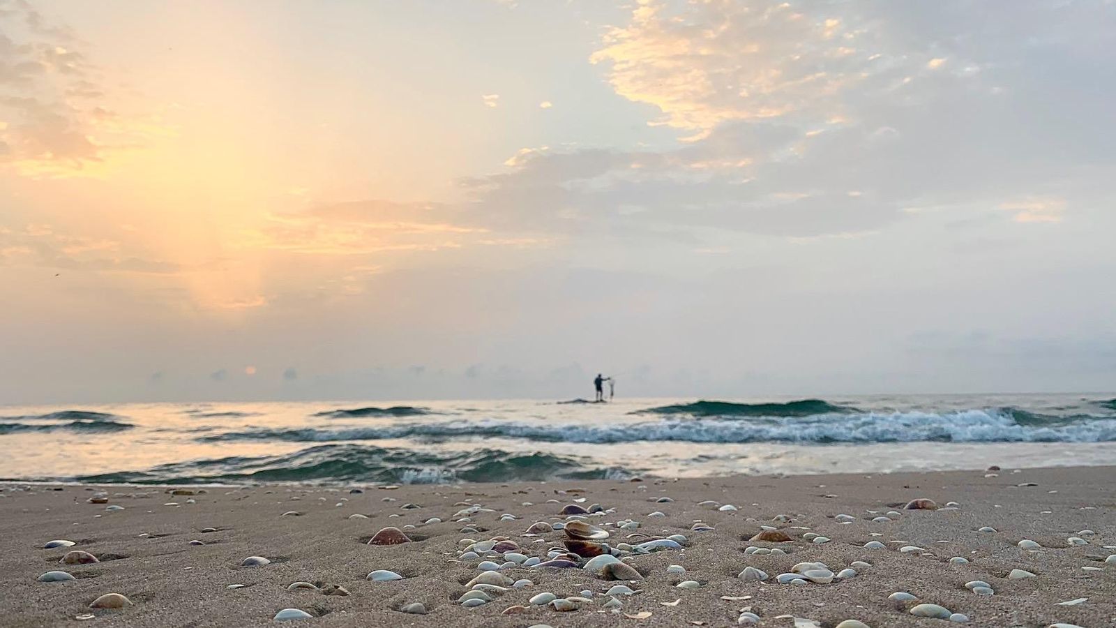 8.SUECA, LA RIBERA BAIXA, MIQUEL FURIÓ