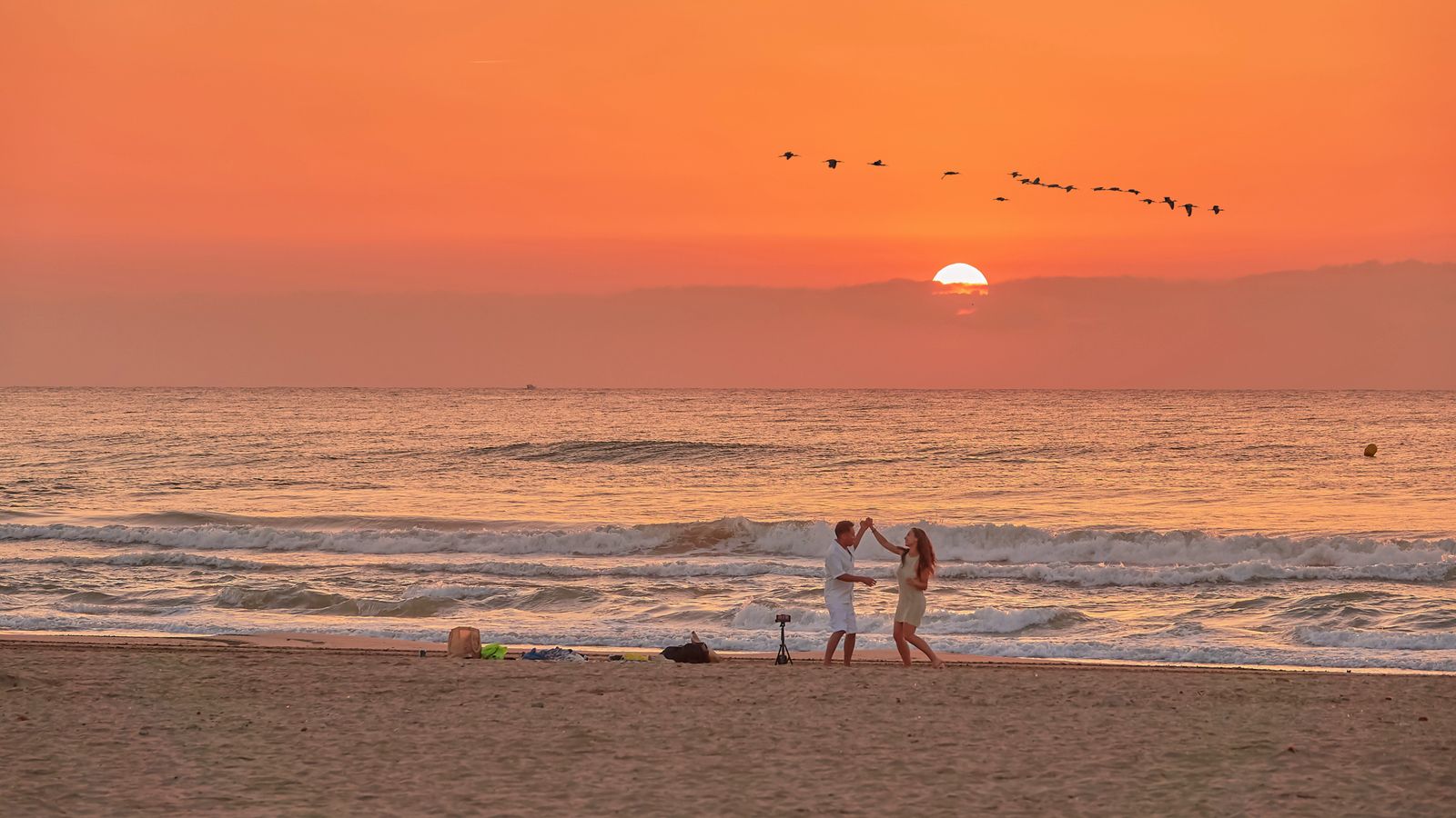 ALBORAIA, L'HORTA NORD