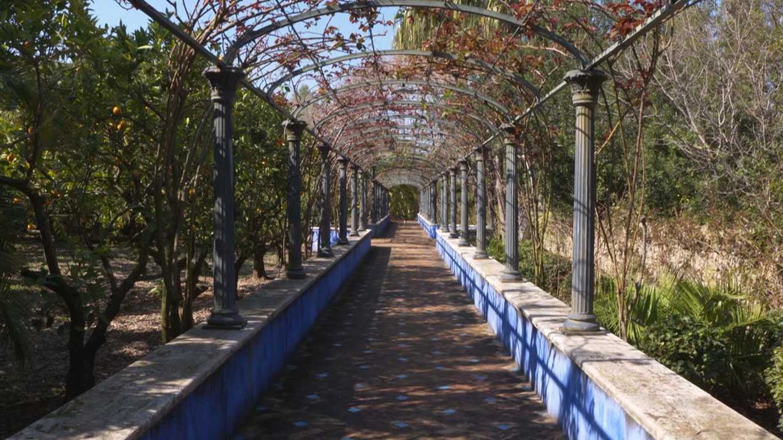 05.11.2018 | Jardí mediterrani i equilibri ecològic