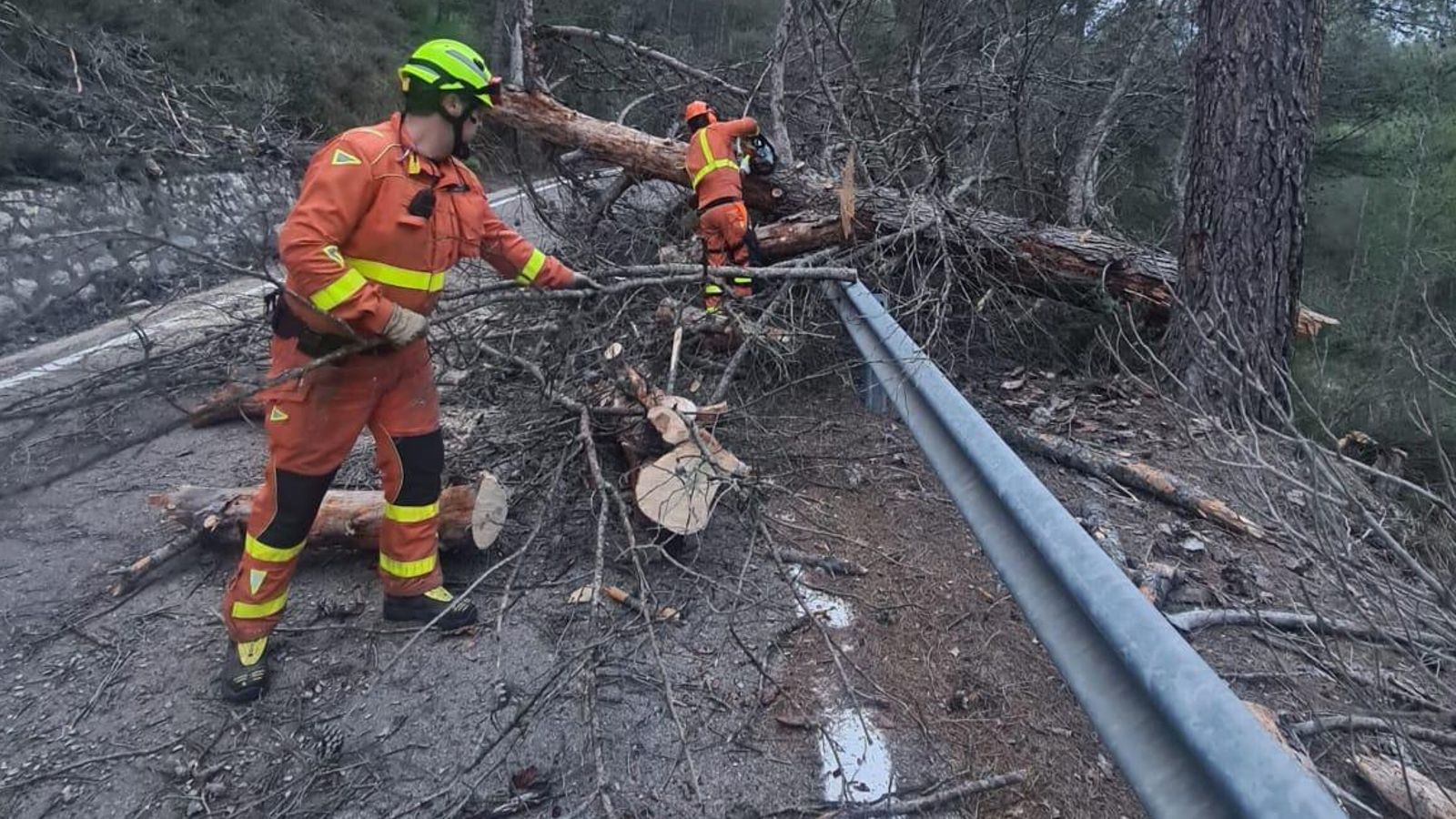 bombers voluntaris de SinarQUES retirant un arbre caigut en Benaixeve en la CV-390