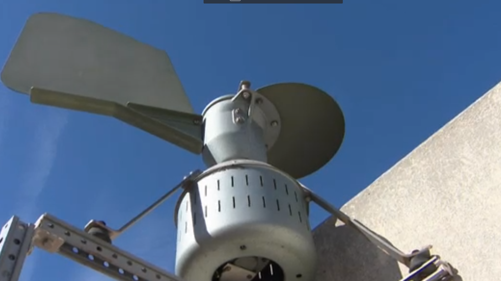 Cada setmana À Punt informarà del nivell de concentració de pol·len.