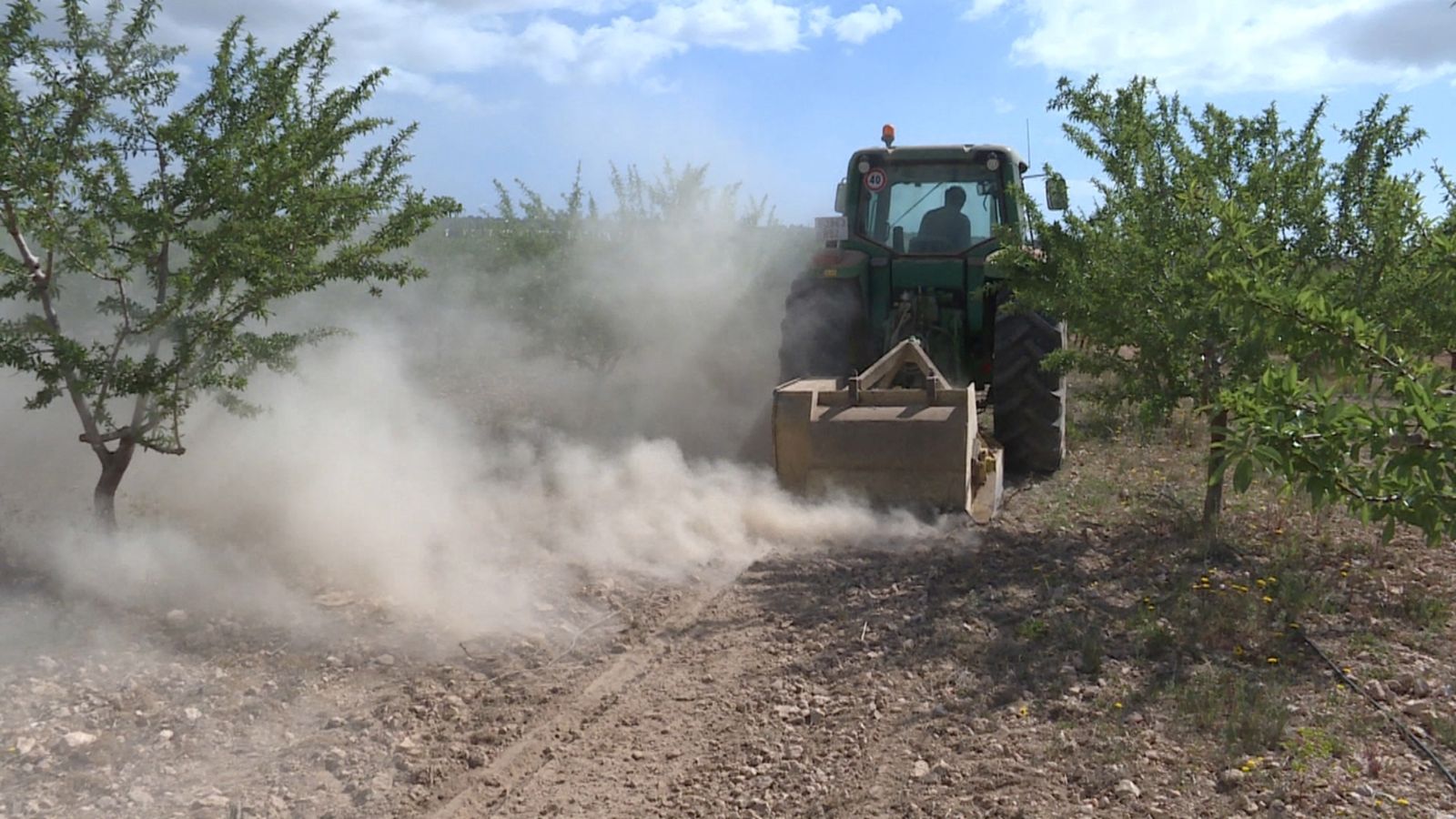 La Junta Central d'Usuaris del Vinalopó, l'Alacantí i la Marina Baixa s'ha reunit aquesta vesprada per a demanar un rec de socors del transvasament Xúquer-Vinalopó